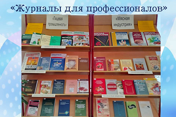 Книжные выставки «Журналы для профессионалов»